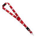 Warner Bros. DC The Flash Lanyard