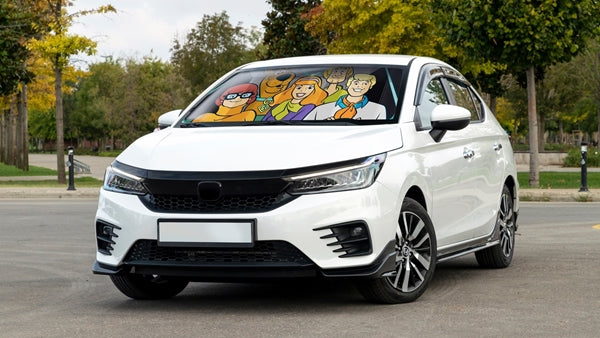 Warner Bros. Scooby-Doo Accordion Sunshade